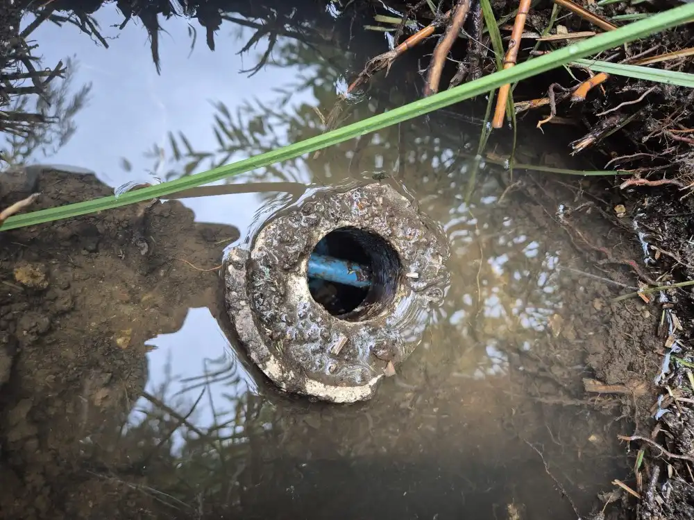 Contact Drain Cleaning Solution for 24/7 drainage support