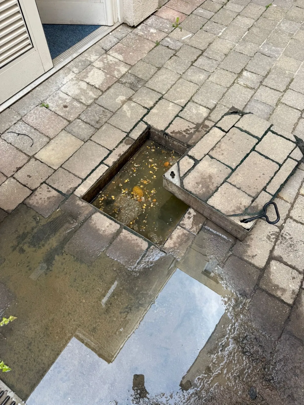 Outdoor drain cleaning in Hove carried out by Drain Cleaning Solution engineer