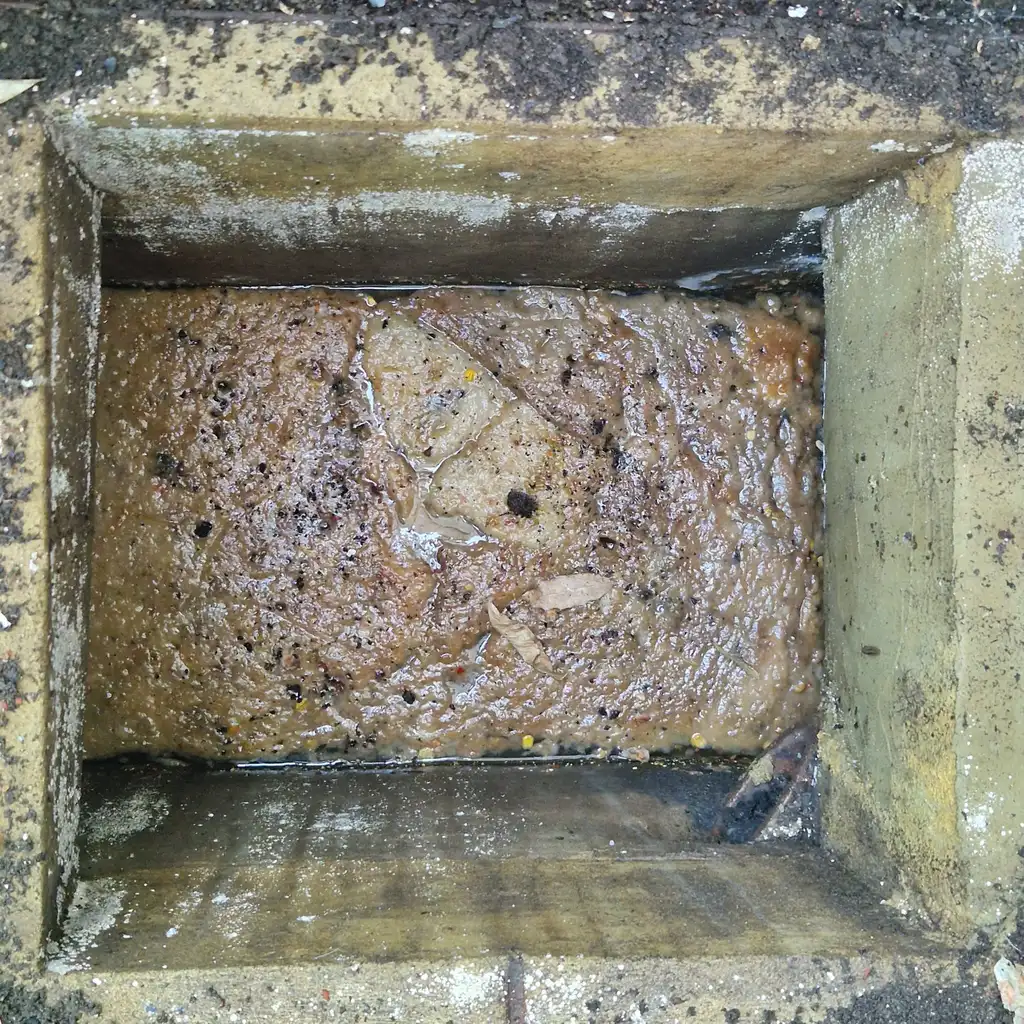 Sewage sludge filling an inspection chamber caused by blocked drain run in SW11
