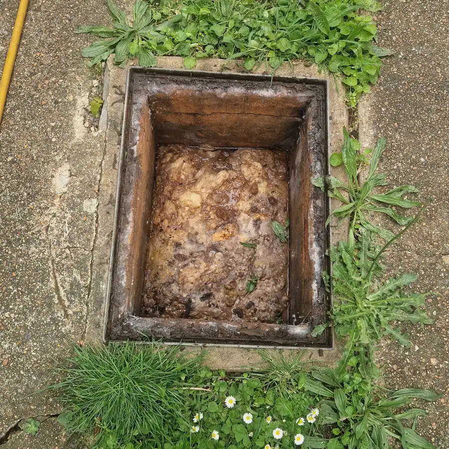 Close view of sewage and fat blocking an inspection chamber on a Chiswick residential property