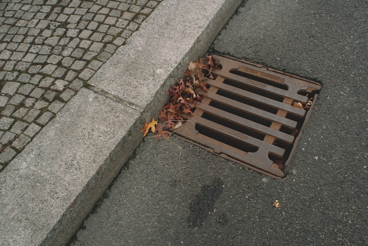 Street drain grate covered in autumn leaves, a common cause of a blocked outside drain