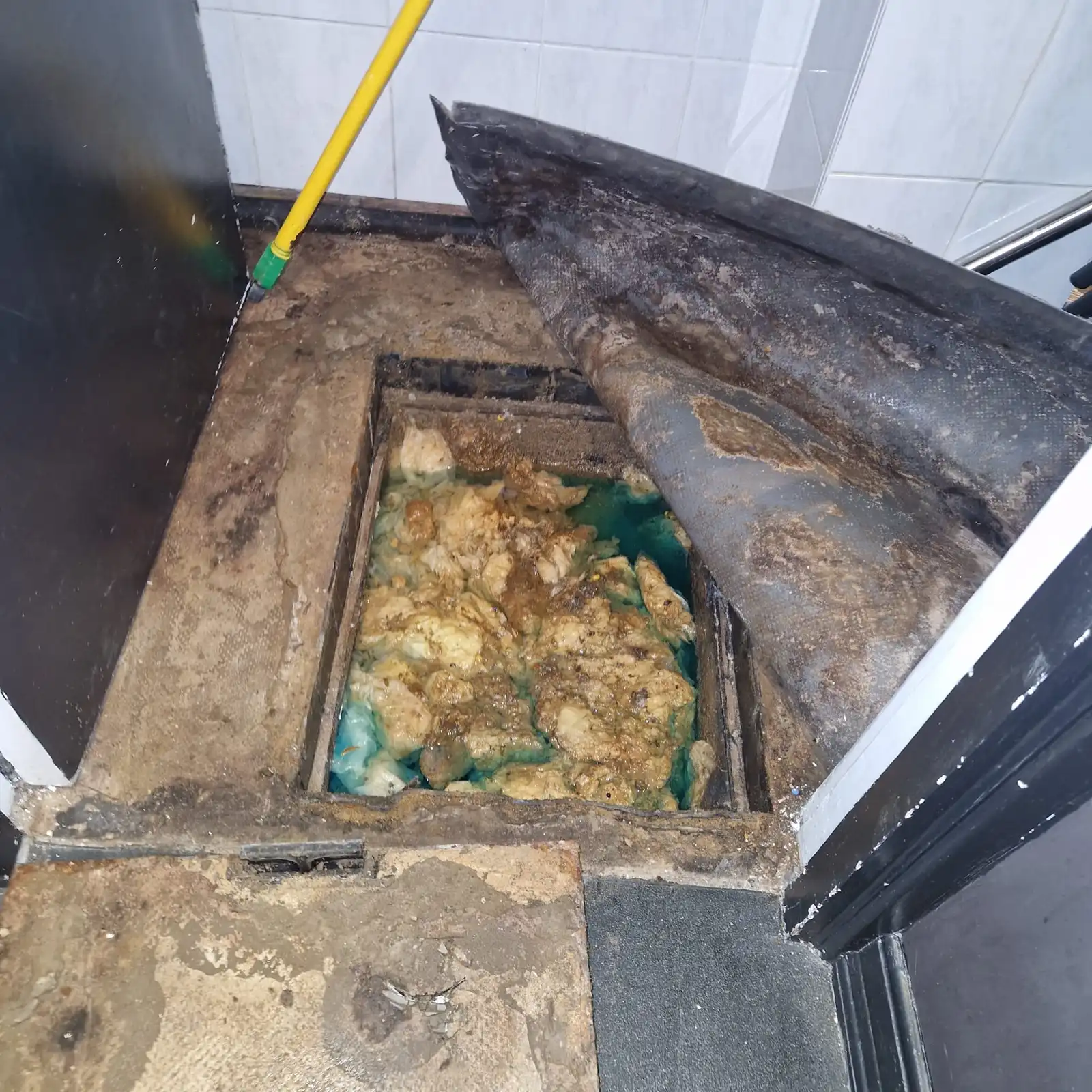 Internal drainage chamber affected by fat and scale buildup