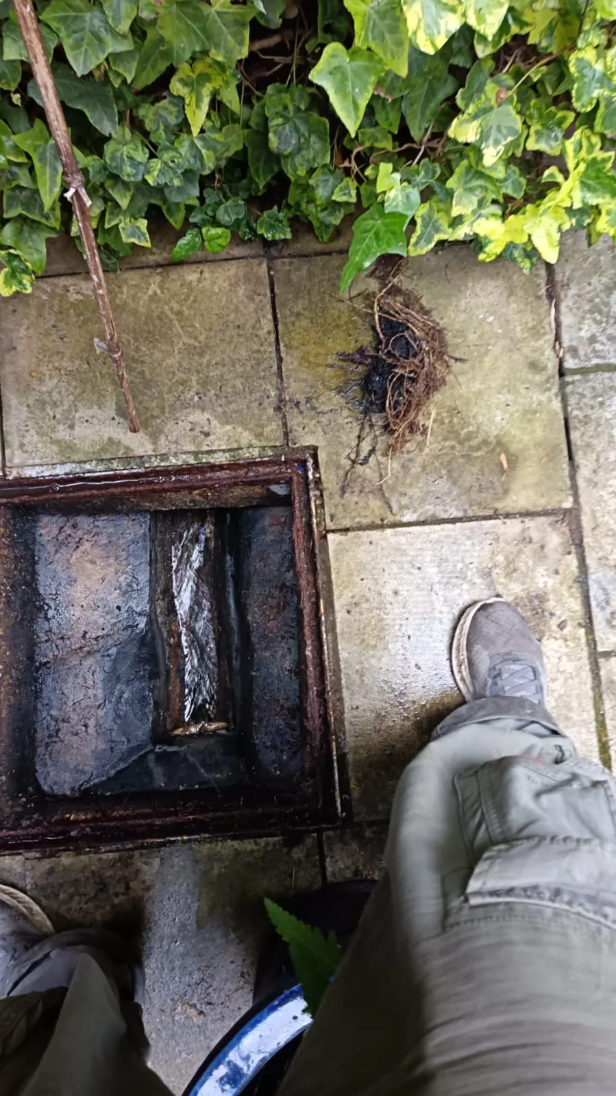 Removed drain roots beside chamber flowing again after clearance